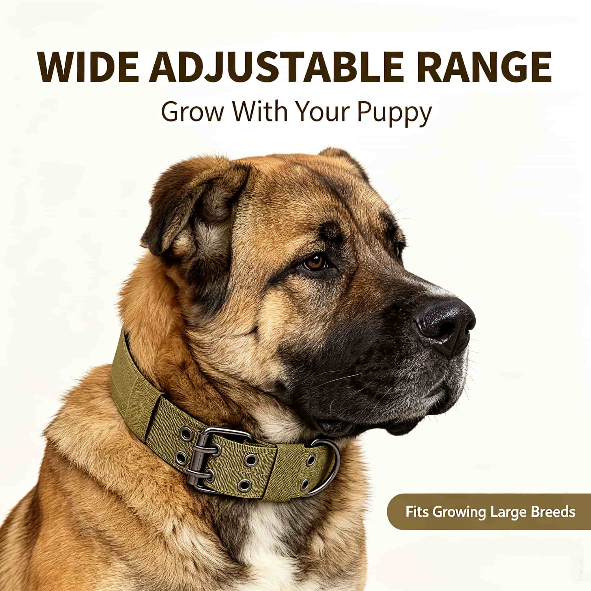 Camo Tactical Dog Collar Heavy - Outdoor Hunting Dog Collar recension och pris