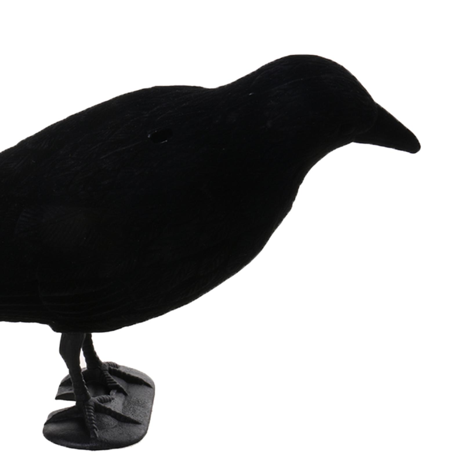 Crow Decoy Animal Trap Body Fl - Hunting And Outdoor Supplies recension och pris