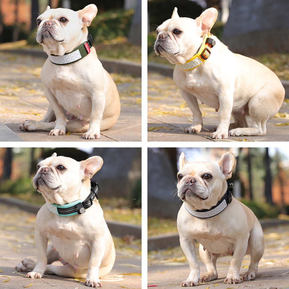 Outdoor Reflective Dog Collar  - Outdoor Hunting Dog Collar recension och pris