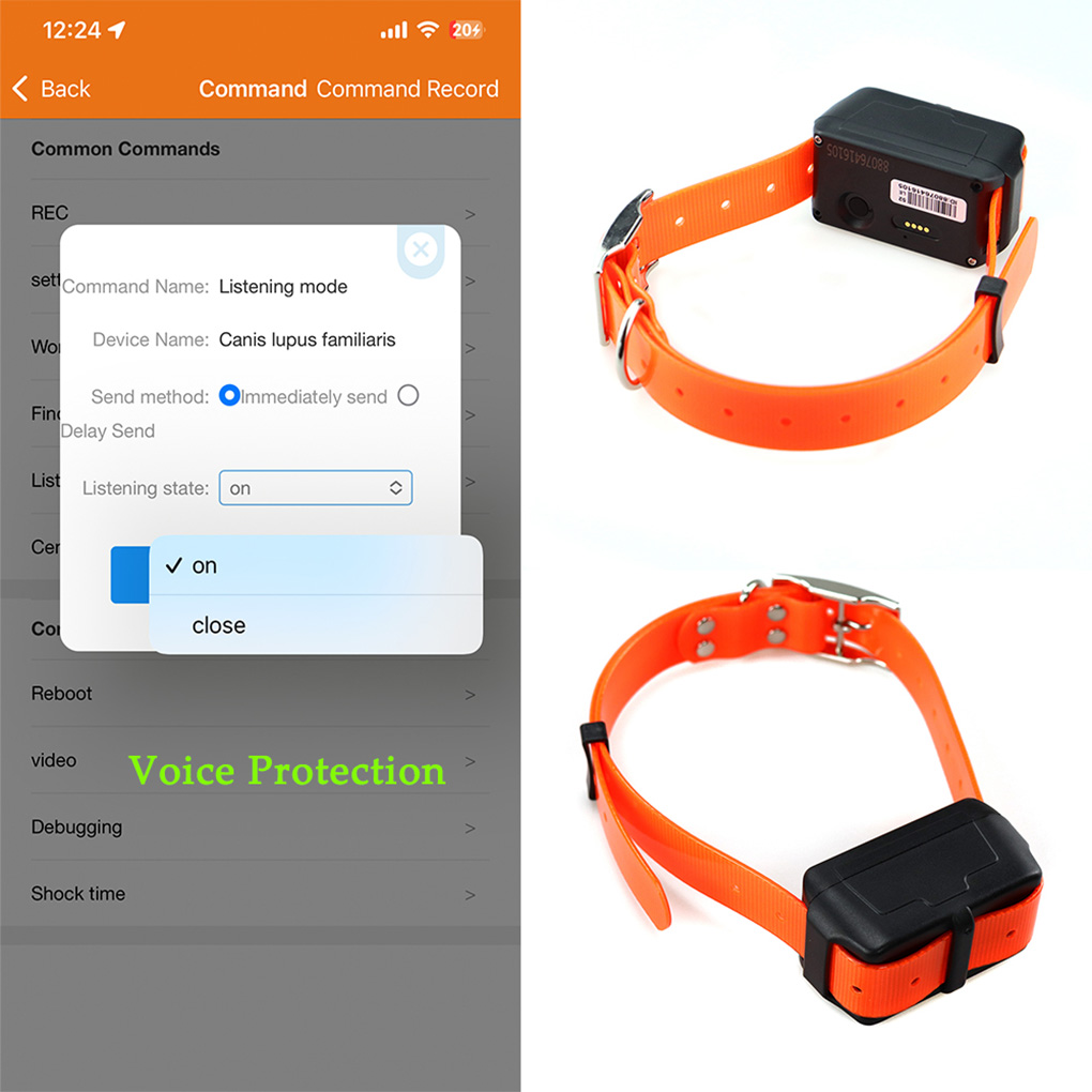 CY09A Portable Pet GPS Tracker - Outdoor Hunting Dog Collar recension och pris