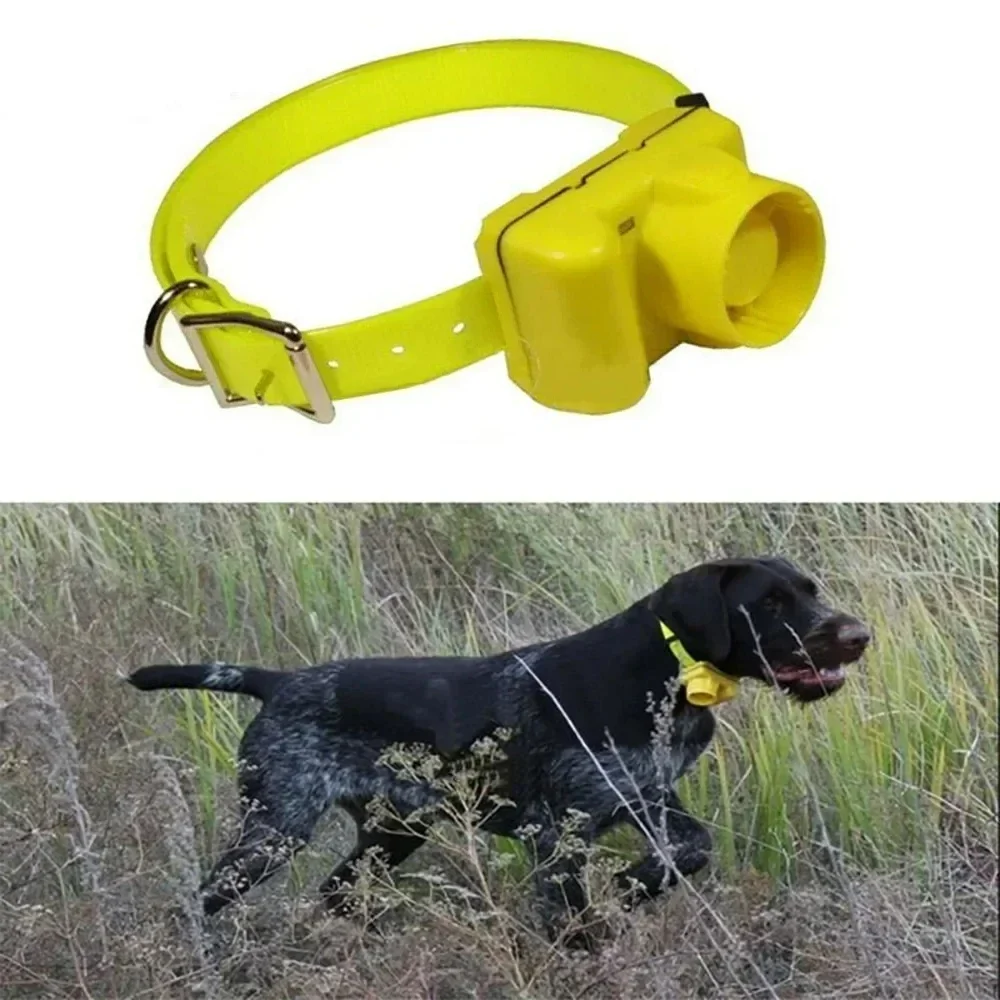 Updated Outdoor Hunting Dog Be - Outdoor Hunting Dog Collar recension och pris
