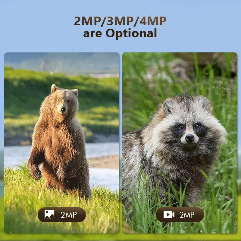 4G 4MP Outdoor Wildlife Huntin - Hunting Outdoor Game recension och pris