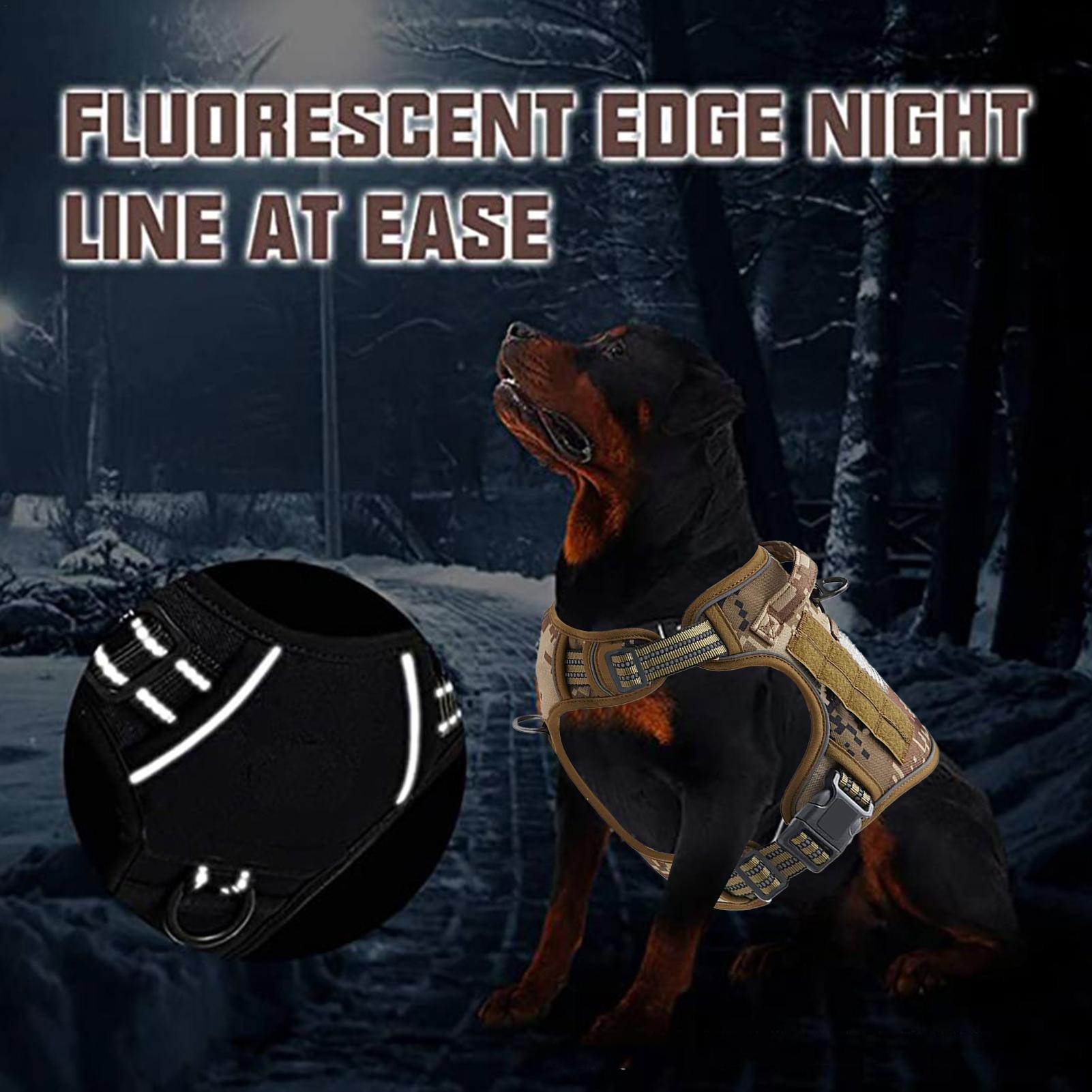 Dog Harness Metal Buckle Dog T - Outdoor Hunting Dog Collar recension och pris