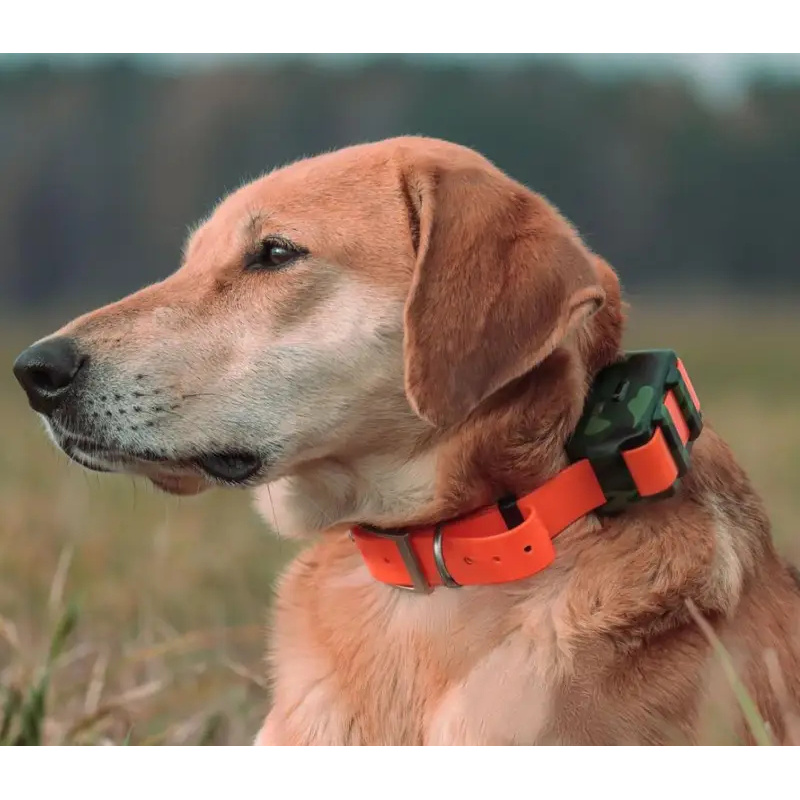ICAR IK122M 2000mah Collar 4G  - Outdoor Hunting Dog Collar recension och pris