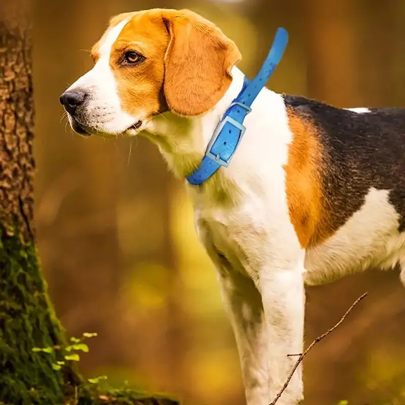 TPU Outdoor Pet Safety Collar  - Outdoor Hunting Dog Collar recension och pris